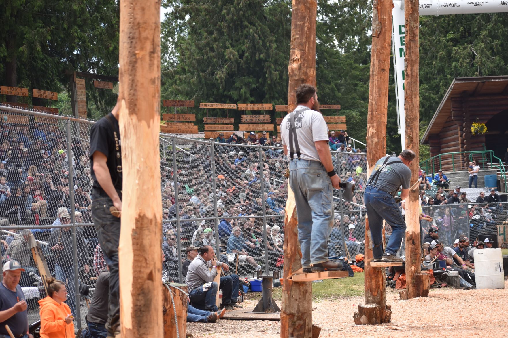 Log show